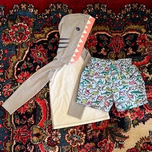 Boys Shark swim set